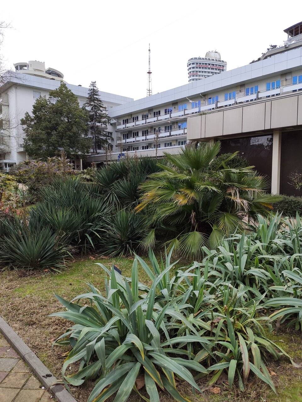 Фото Хостела Магнолия Сочи 80