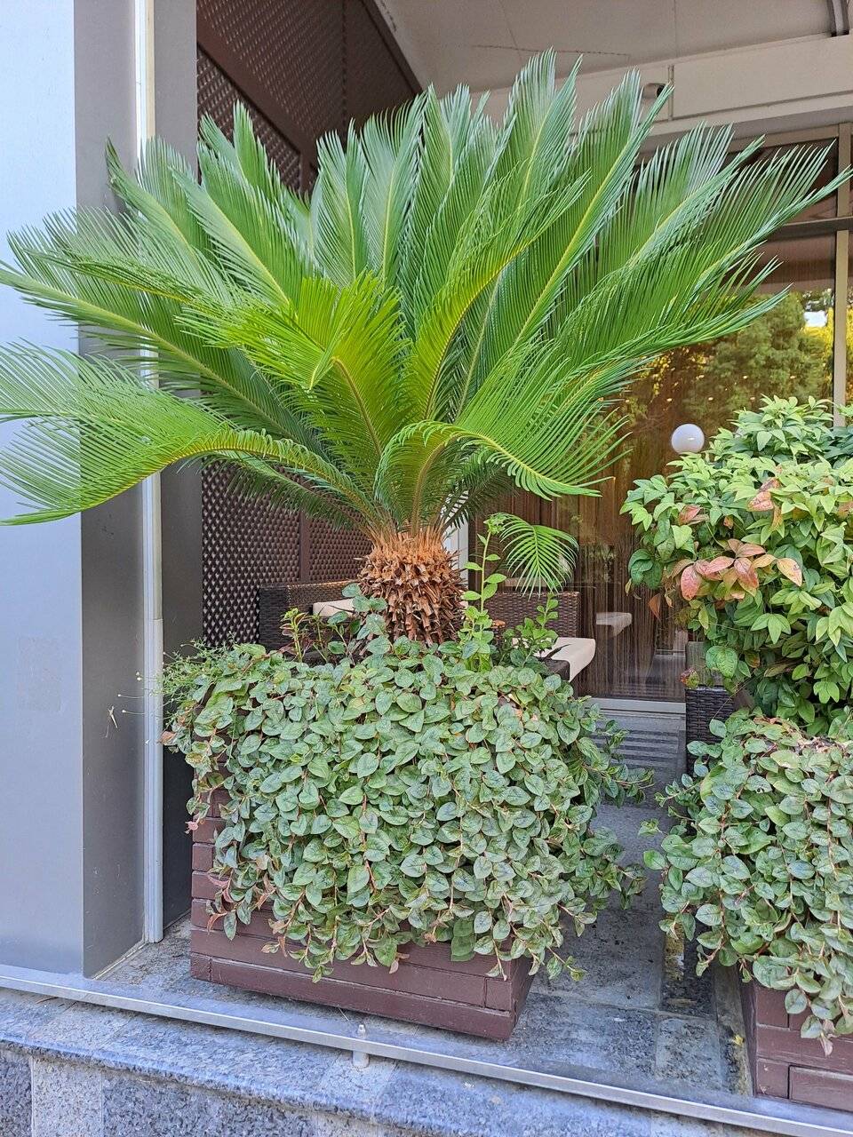 Фото Хостела Магнолия Сочи 39