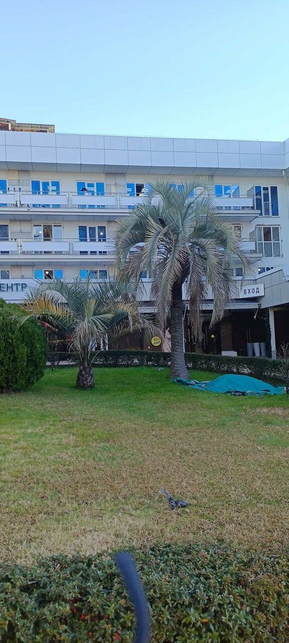 Фото Хостела Магнолия Сочи 179