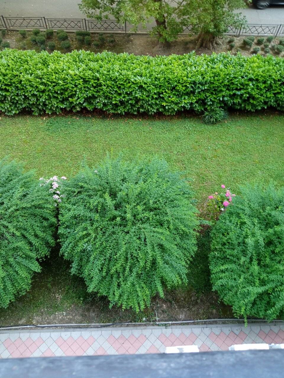 Фото Хостела Магнолия Сочи 118